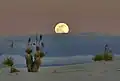 Moonrise at White Sands National Park in New Mexico