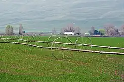 Irrigation System in Whitstran