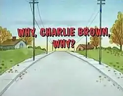 Title card from TV special