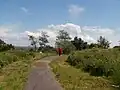 A man and young girl wander through the nature reserve.