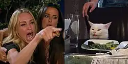 Two photographs next to each other. On the left, a blonde woman angrily screaming and pointing to the picture's right. On the right, a white cat sitting in a chair in front of a plate of vegetables on a table, looking to the picture's left with a confused expression.