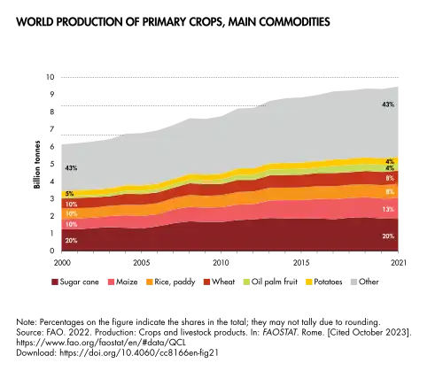 Maize (pink strip) is the second most widely produced primary crop, after sugarcane, and the first among grain crops.[83]