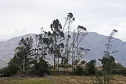View of the mountains south of Río San Antonio, Yaculona
