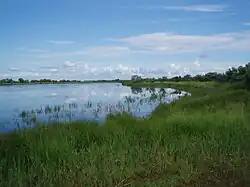 a lake bordered by sedges and small trees.